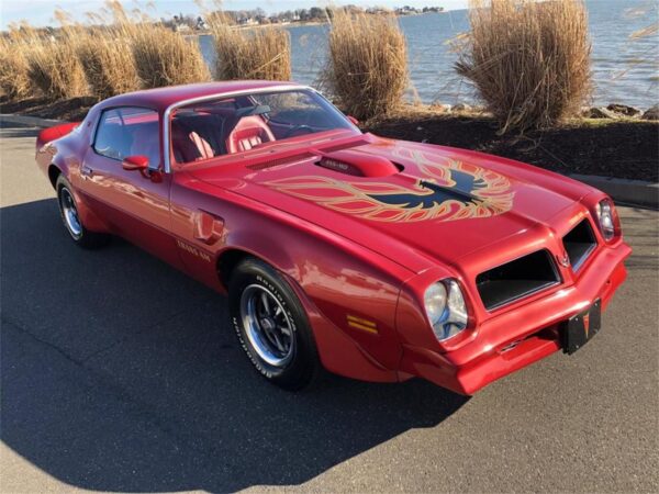 '76 Pontiac Firebird T/A (Premium: Release 5 Set D - 2016)