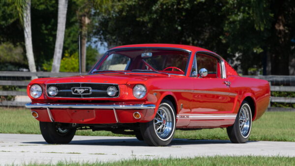 '65 Ford Mustang GT (Ford Mustang Series - 2020)