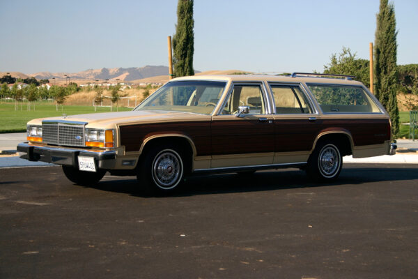 '79 Ford LTD Country Squire (The Great Outdoors Series 2 - 2022)