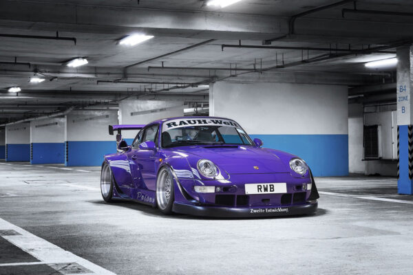RWB 993 (Chameleon, Low Tail - 2023)